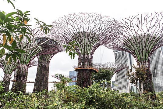 Supertrees, Garden by the Bay, Singapore
