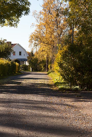 Village, Gamla Uppsala, Sweden