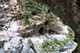 Swallow Grotto, Taroko National Park, Taiwan