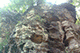 Rocks at Panchali Kund
