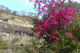 Ajanta Ellora Photo 19
