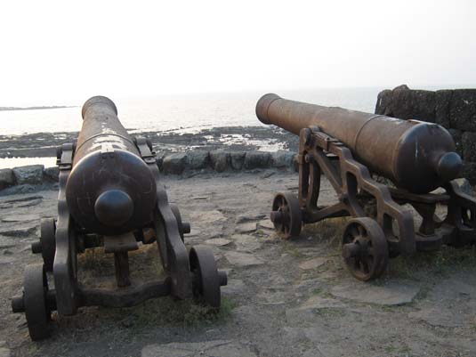 Canons in Fort