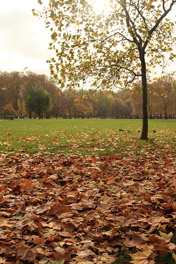 The Green Park, London, UK