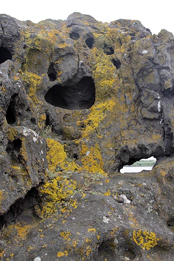 Rock Formation, Harbour, North Berwick, Scotland