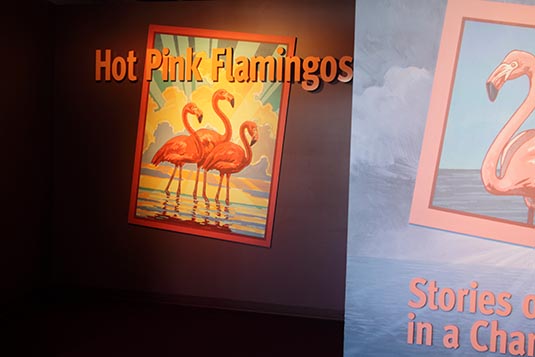 Flamingo Enclosure, Monterey Bay Aquarium, Monterey Bay, California, USA