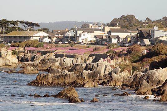 Pacific Grove, Monterey Bay, California, USA