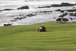 Golf Course, Ritz Carlton, Half Moon Bay, California, USA