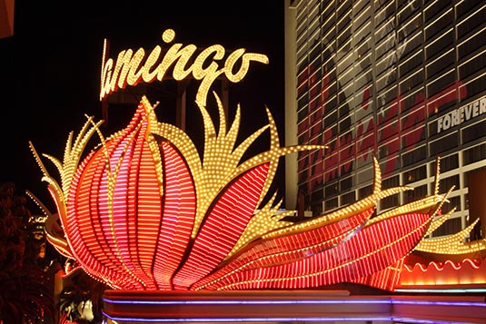 Flamingo, Las Vegas, Nevada, USA