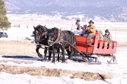 Horse Sleigh, Angel Fire, New Mexico