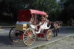 Horse-driven Carriage, Central Park, New York City, New York, USA