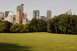 Sheep Meadow, Central Park, New York City, New York, USA