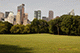 Sheep Meadow, Central Park, New York City, New York, USA