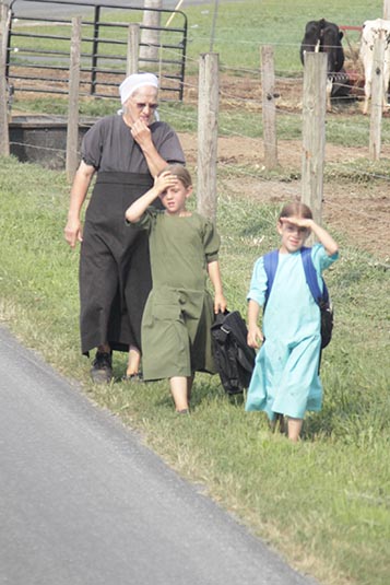 Back from School, Amish Country, Lancaster County, Pennsylvania, USA