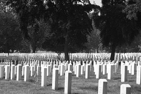 The Graves, Arlington National Cemetery, Arlington, Virginia, USA