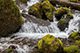 Merriman Falls, Quinault, Washington, USA