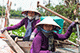 Rowers, Cai Be, Vietnam